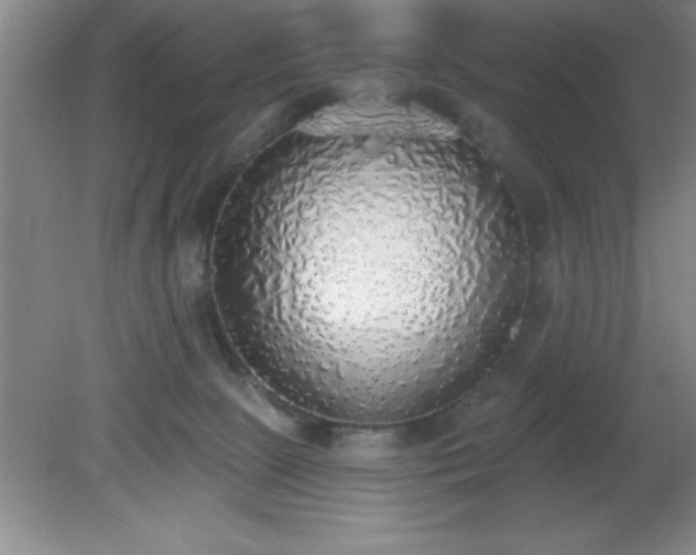 X0000081380081200701182217