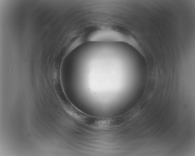 X0000081380084200701182217