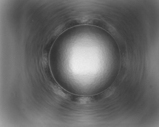 X0000081380085200701182217