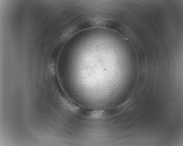 X0000081380090200701182217