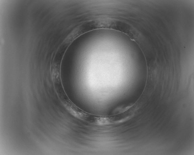 X0000081380091200701182217