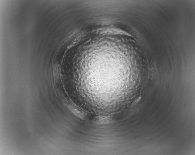 X0000081380093200701182217