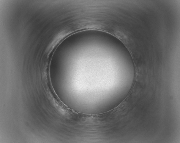 X0000081380098200701182216