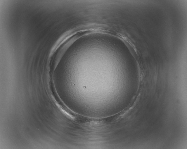 X0000081380101200701182216