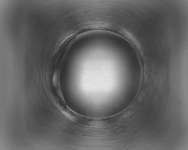 X0000081380105200701182216