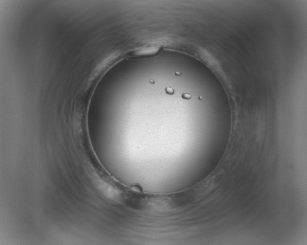 X0000081380106200701182216