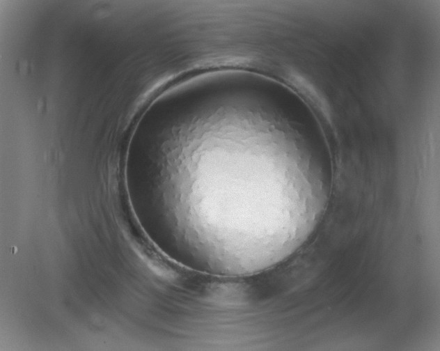 X0000081380107200701182216