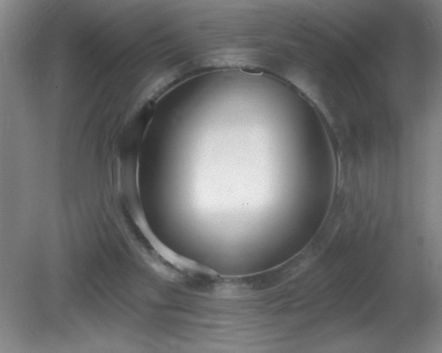 X0000081380109200701182216