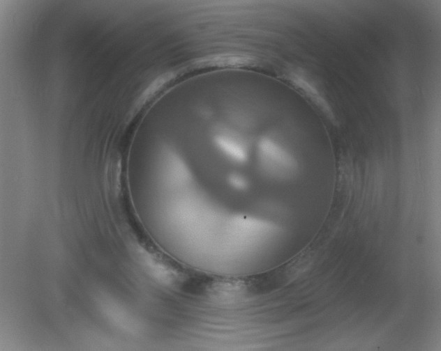 X0000081380110200701182216