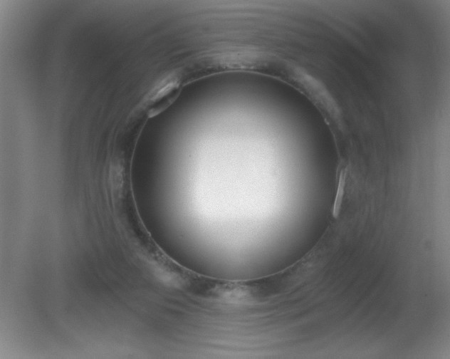 X0000081380113200701182216