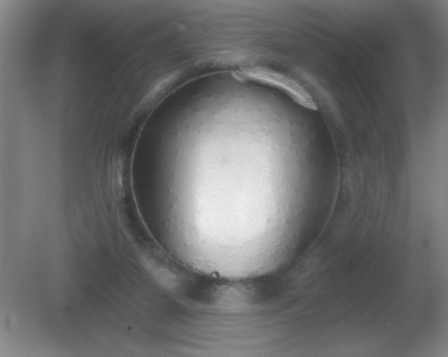 X0000081380115200701182216
