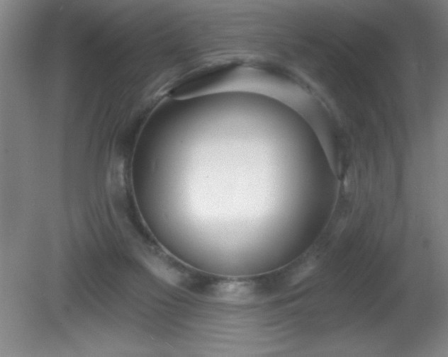 X0000081380117200701182216