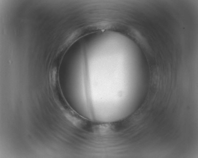 X0000081380118200701182216