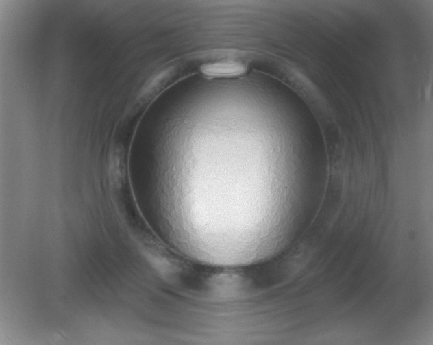 X0000081380119200701182216