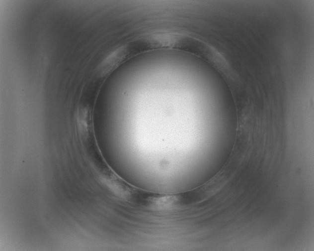 X0000081380122200701182216