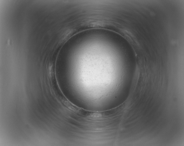 X0000081380123200701182216