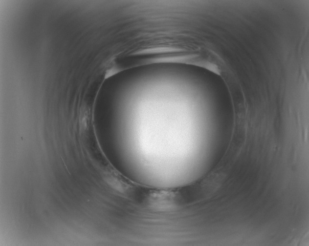 X0000081380125200701182216