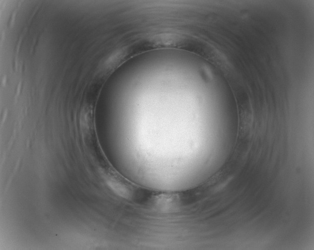X0000081380126200701182216