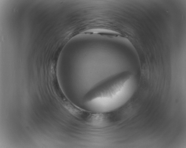 X0000081380127200701182216