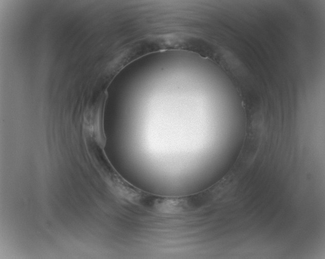 X0000081380129200701182216