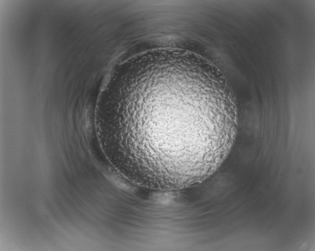 X0000081380131200701182216