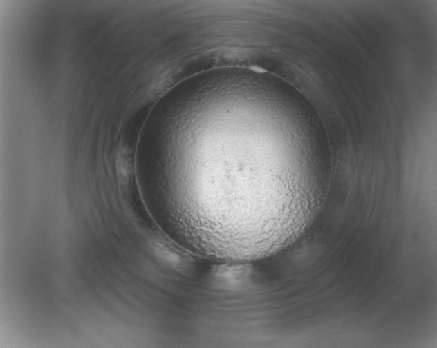X0000081380135200701182216