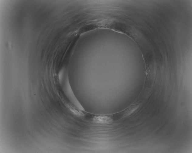 X0000081380137200701182216
