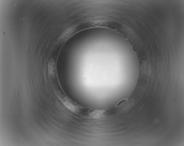 X0000081380138200701182216