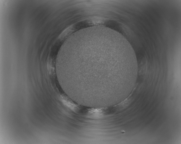 X0000081380140200701182216