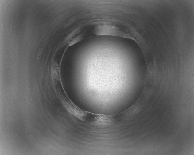 X0000081380141200701182216