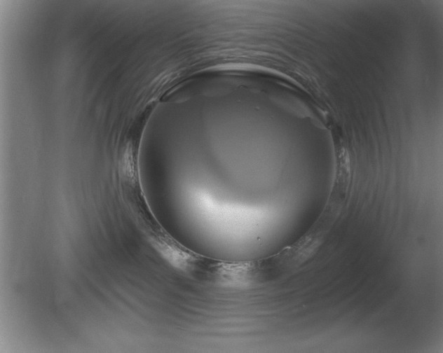 X0000081380143200701182216