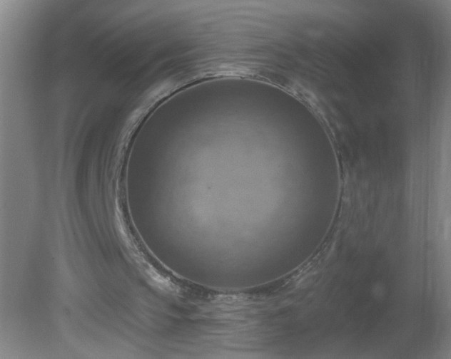 X0000081380145200701182214