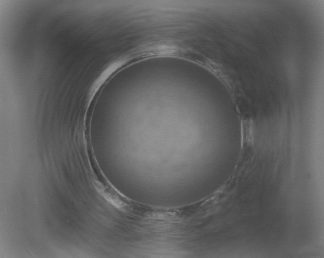 X0000081380147200701182214