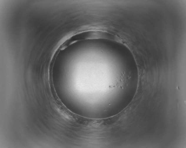 X0000081380148200701182214