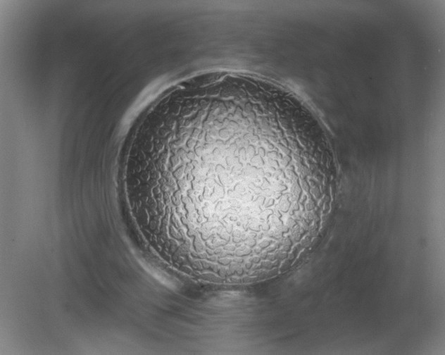 X0000081380151200701182214