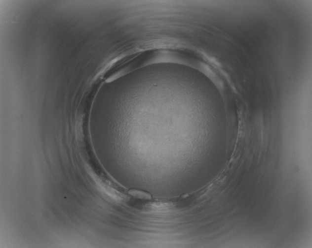 X0000081380154200701182215