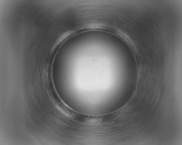 X0000081380155200701182215