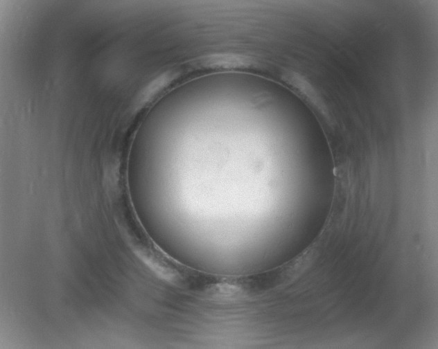 X0000081380159200701182215
