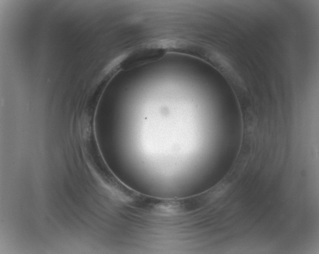 X0000081380164200701182215