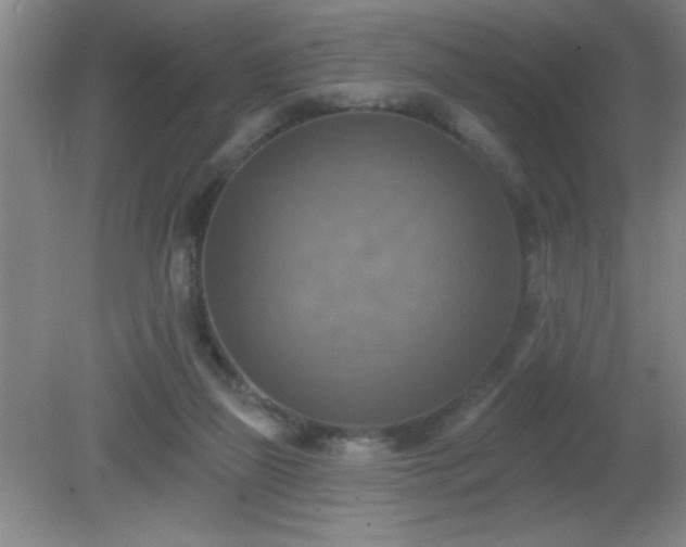 X0000081380165200701182215