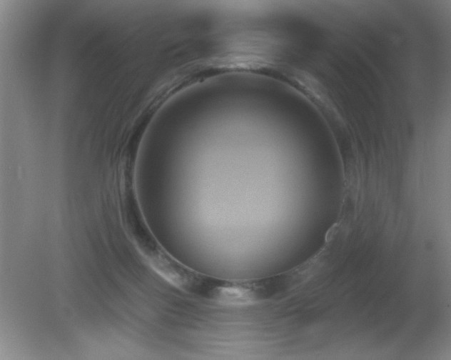 X0000081380167200701182215
