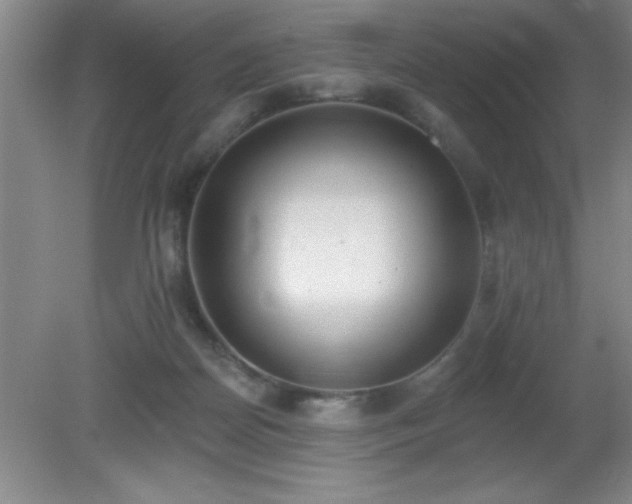 X0000081380170200701182215
