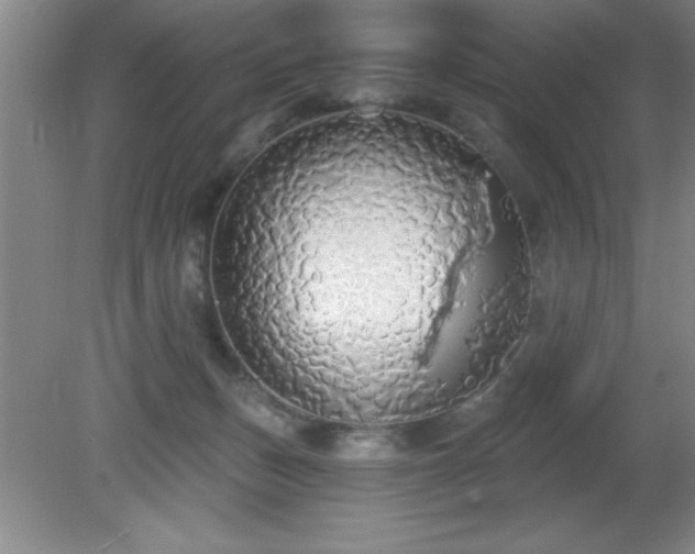 X0000081380175200701182215