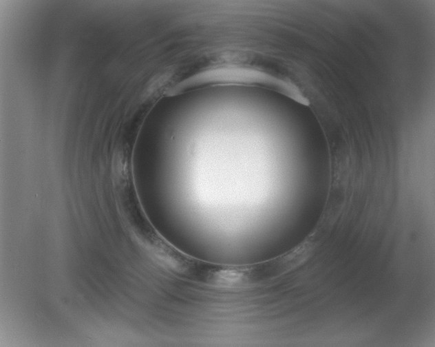 X0000081380176200701182215