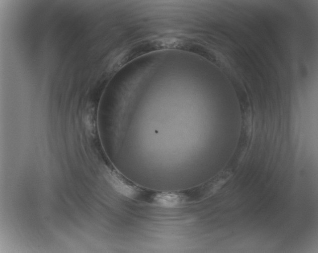 X0000081380181200701182215