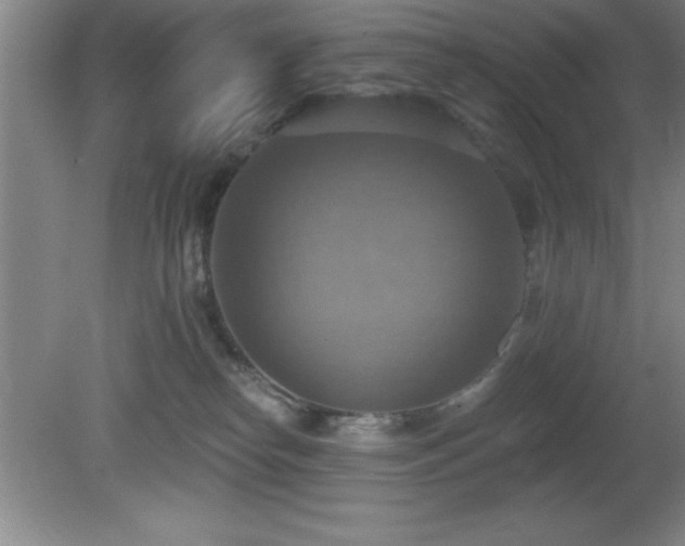 X0000081380182200701182215