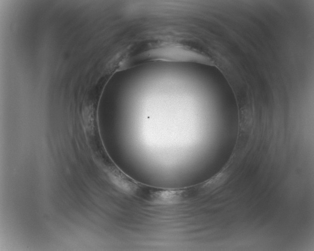 X0000081380184200701182215