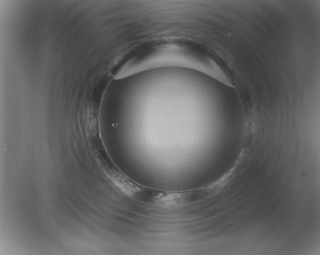 X0000081380186200701182215