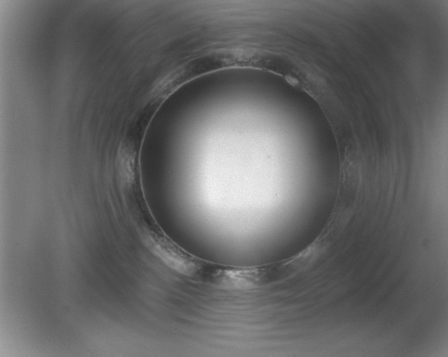 X0000081380188200701182215