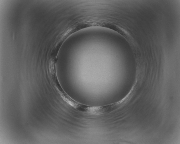 X0000081380192200701182216